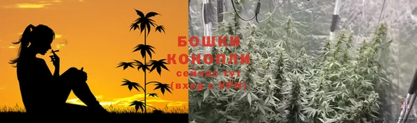 трава Козельск