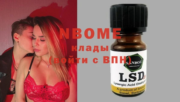стаф Покровск