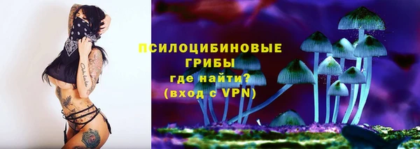 трава Козельск