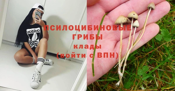 каннабис Киреевск