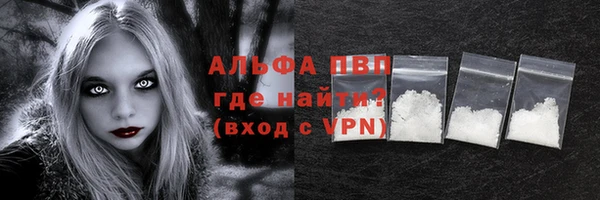 гашик Кодинск