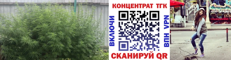 Дистиллят ТГК концентрат Кизляр